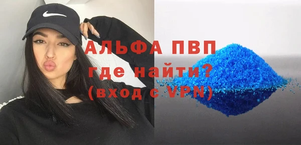 стафф Вяземский