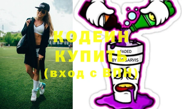 крисы Каменка