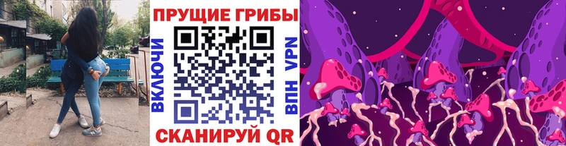 Псилоцибиновые грибы мицелий  Зима 