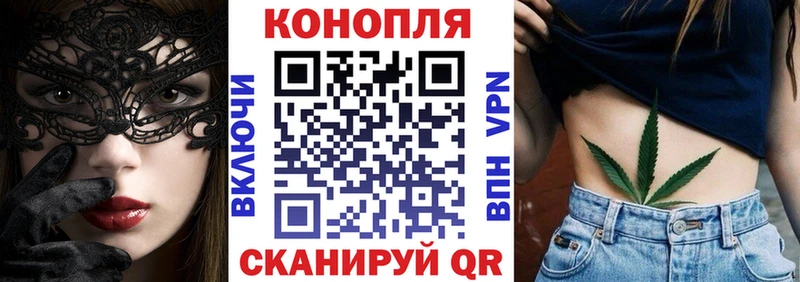 Каннабис план  Зима 